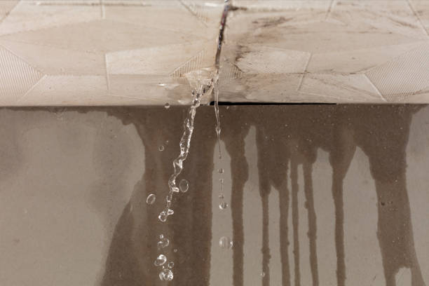 Professional Flood Damage Cleanup technician working in Linden, NJ